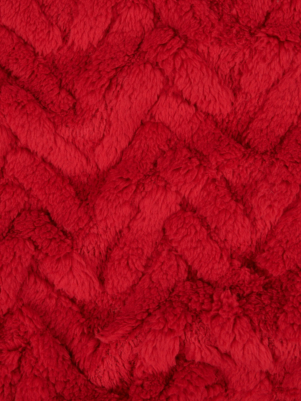 Premium Fern Jacquard Throw & Cushion Set in Savvy Red