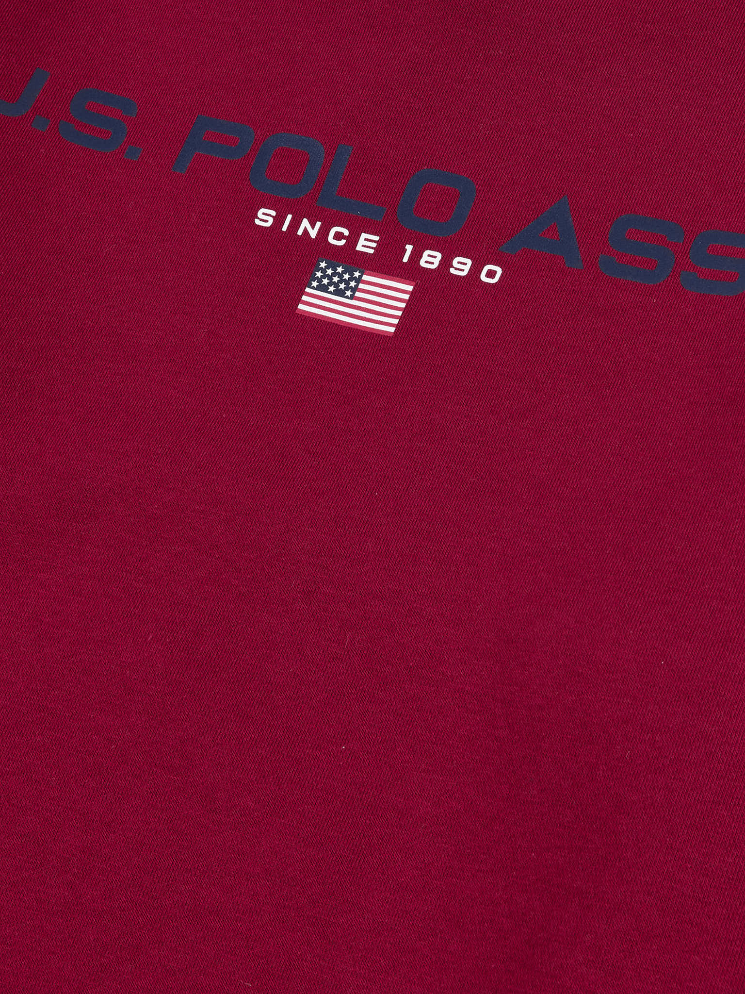 Mens Block Flag Graphic Crew Neck Sweatshirt in Biking Red