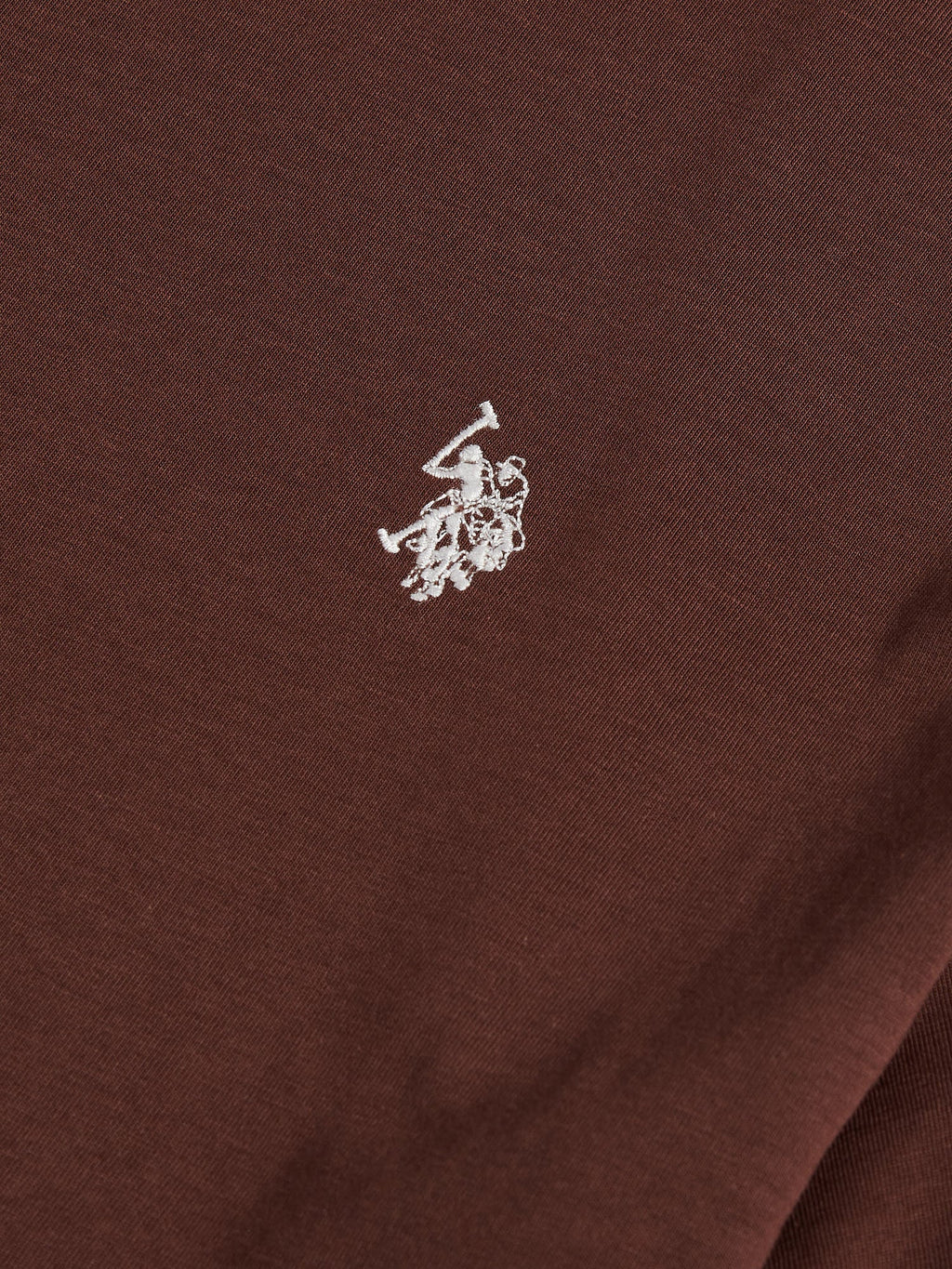 Mens USPA Back Graphic T-Shirt in Chocolate Martini