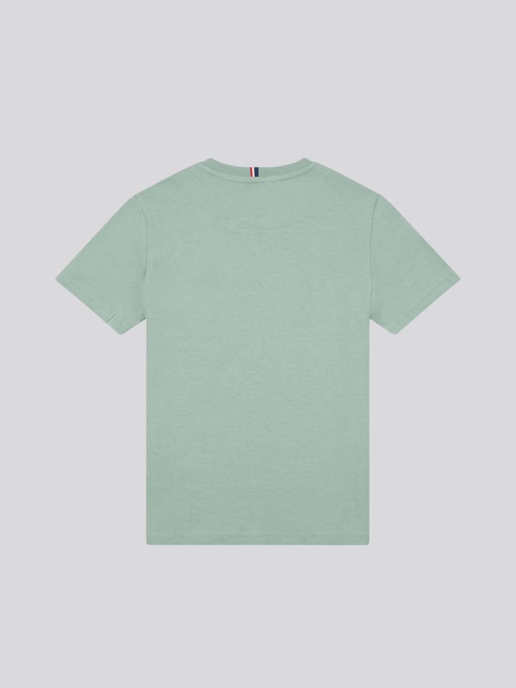 Boys Double Horsemen T- Shirt in Chinois Green