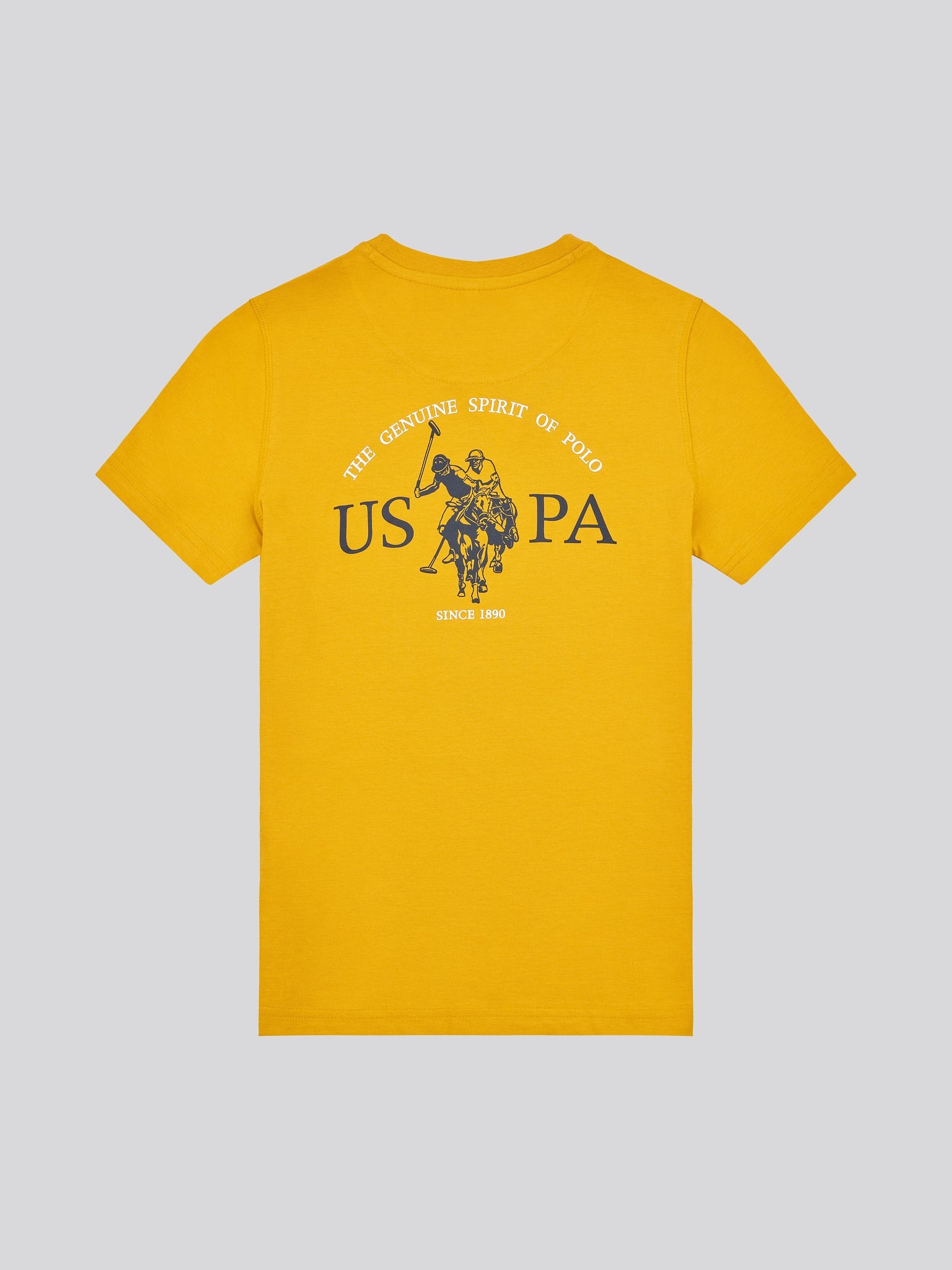 Boys Back Graphic T-Shirt in Mango Mojito