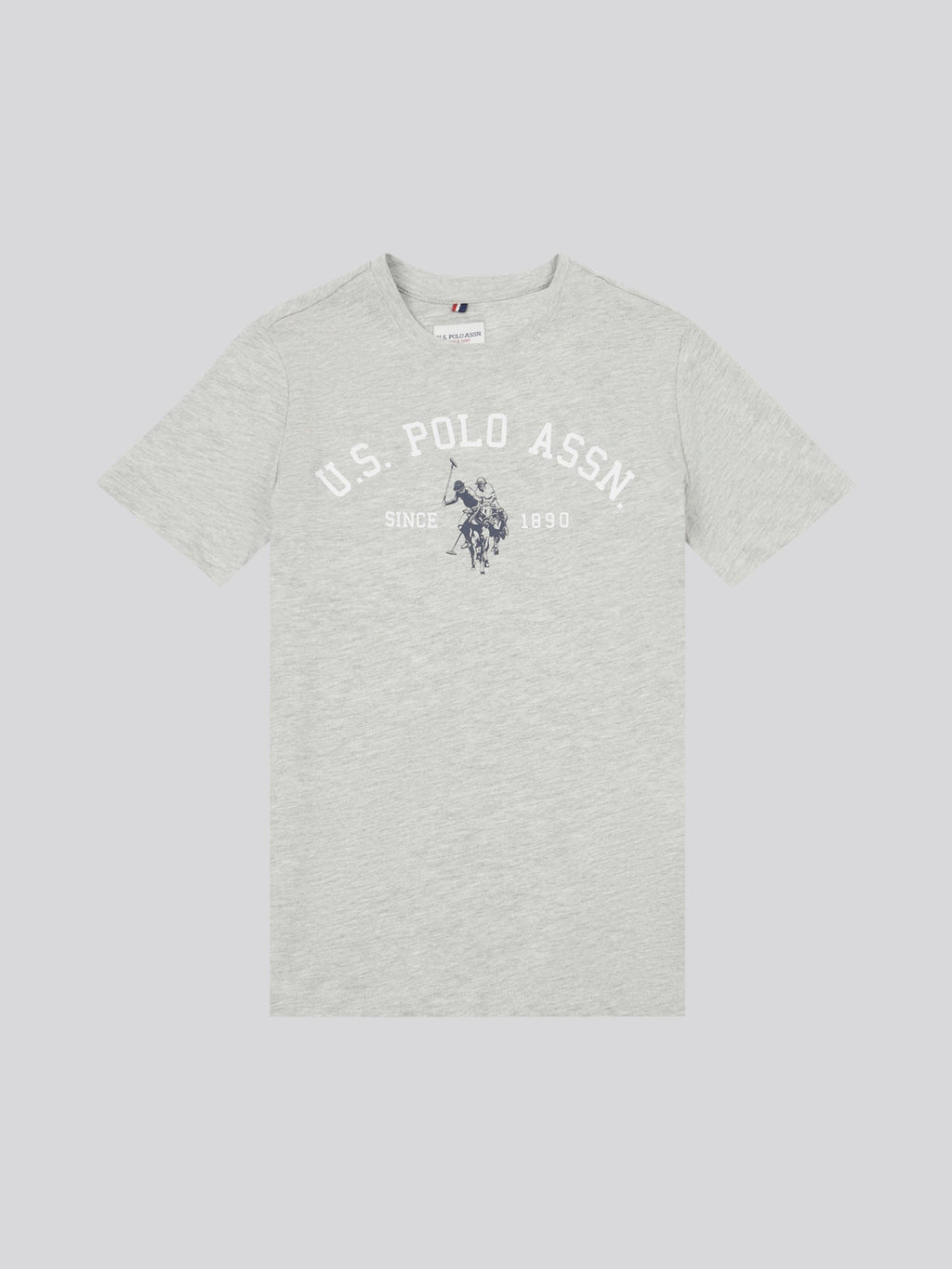 Boys Signature Arch Print T-Shirt in Mid Grey Marl