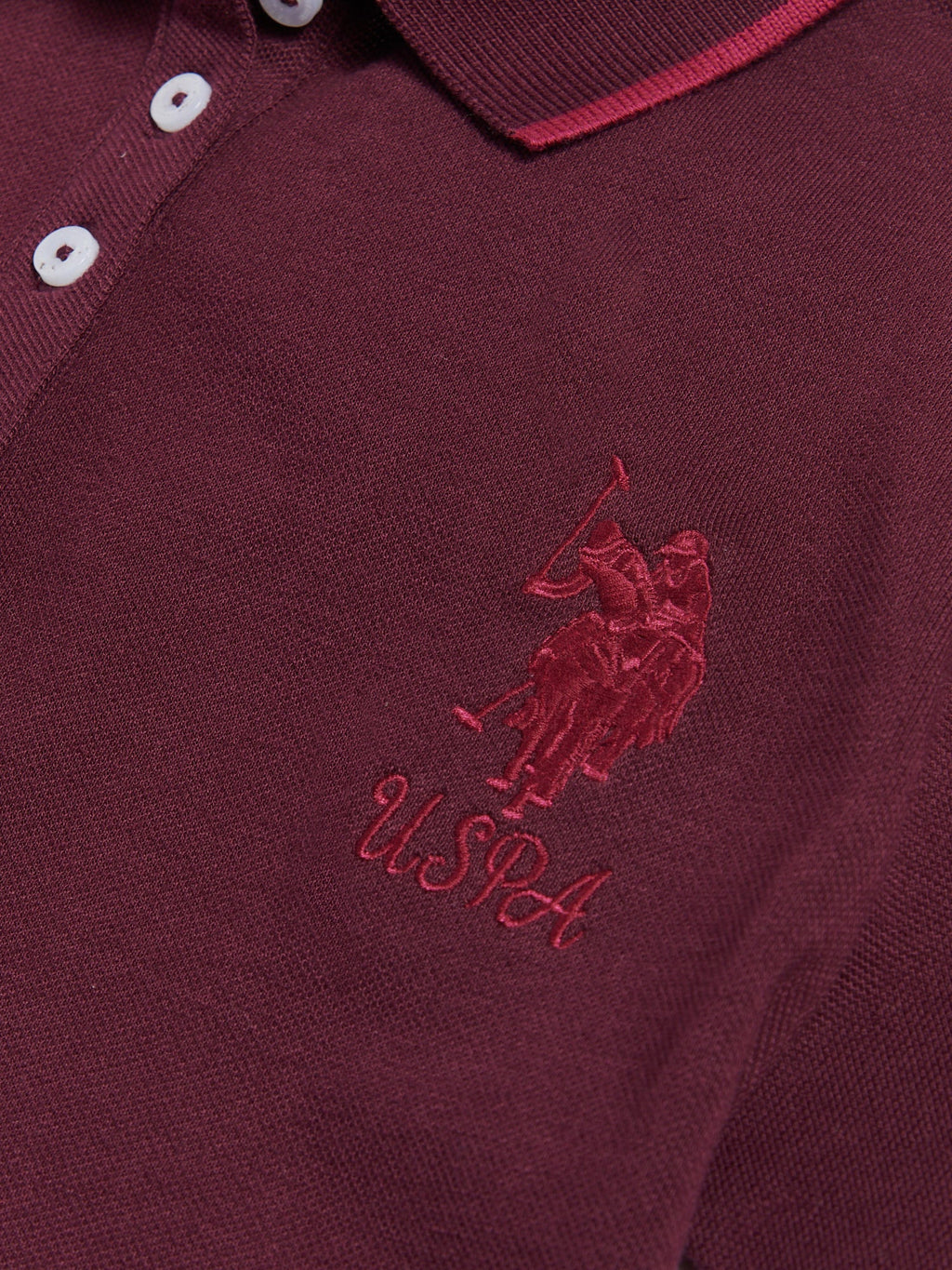 Womens Sash Player 3 Polo Shirt in Fig